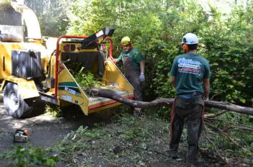 tree services Avoca